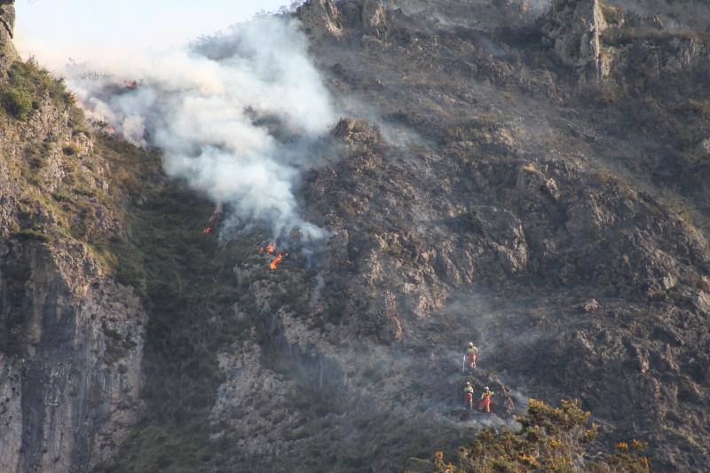 Fotos Así trabaja la UME en el incendio de Llordón, en Cangas de Onís